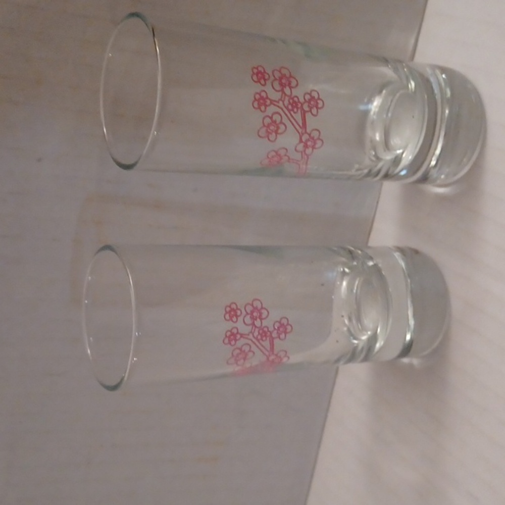 4/$40 New Tall Pink Floral Shot Glasses - Set Of 2